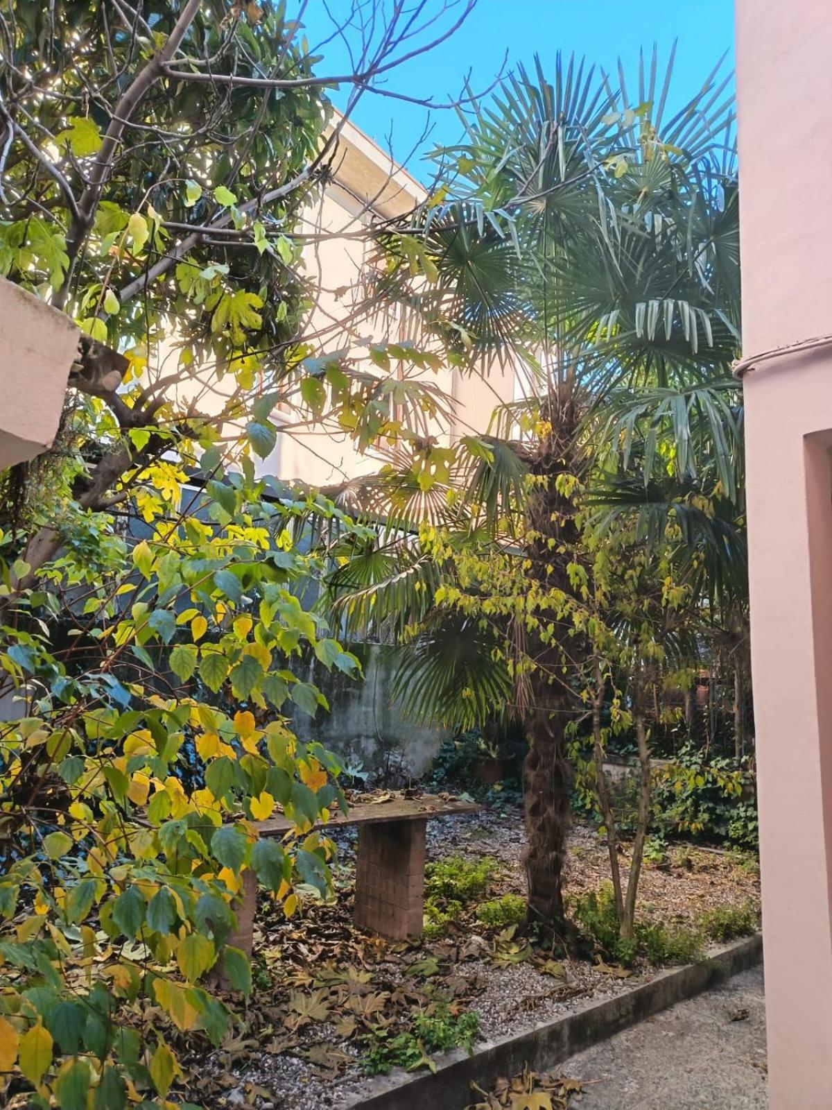 La Casa Di Chicco E Ginny - Verona — Foto 2